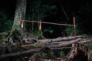 BIB: 
                            <button type="button" onclick="openModal(27431558)" class="btn btn-primary btn-sm float-right btn-popup" data-toggle="modal" data-target=".modal-high-quality">
                        <i class="fas fa-shopping-cart"></i> Add to Cart
                    </button>
                                            <button type="button" onclick="isThisMe(27431558, true)" class="btn btn-success btn-sm float-right btn-popup btn-isme hidden" data-toggle="tooltip" data-placement="bottom" title="นี่คือรูปของคุณใช่ไหม คลิกที่นี่เพื่อเอาเข้าอัลบั้ม">
                        <i class="fas fa-plus"></i> Add to album
                    </button>
                    <button type="button" onclick="isThisMe(27431558, false)" class="btn btn-warning btn-sm float-right btn-popup btn-isnotme hidden">
                        <i class="fas fa-ban"></i> Remove from album
                    </button>